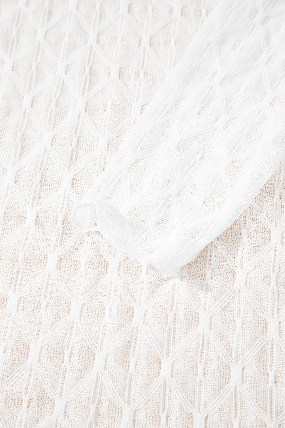 Sheer Mesh Lettuce Trim Long Sleeve Top