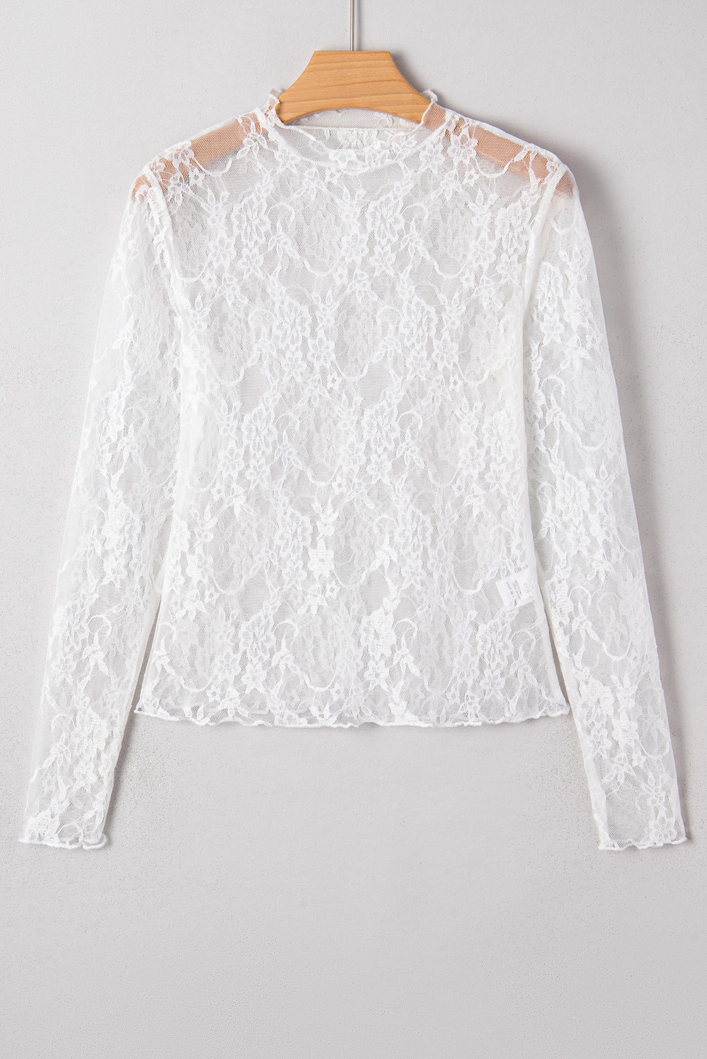 Sheer Lace Mesh Mock Neck Long Sleeve Top